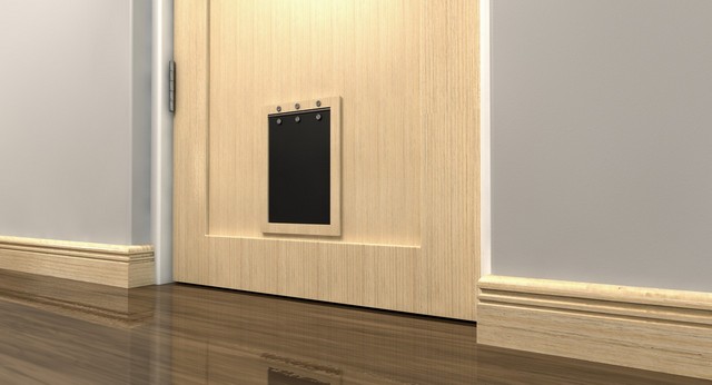 Cat Flap Installation Barnes, Castelnau, SW13